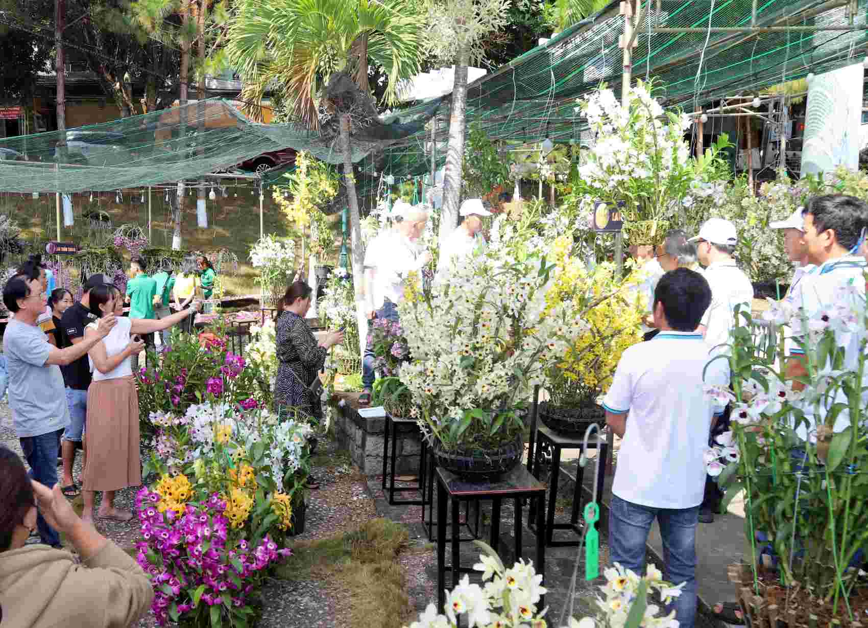 The 2nd Bao Loc City Flower Competition has 1,200 swans from many provinces and cities across the country participating and competing. Photo: Lam Hong