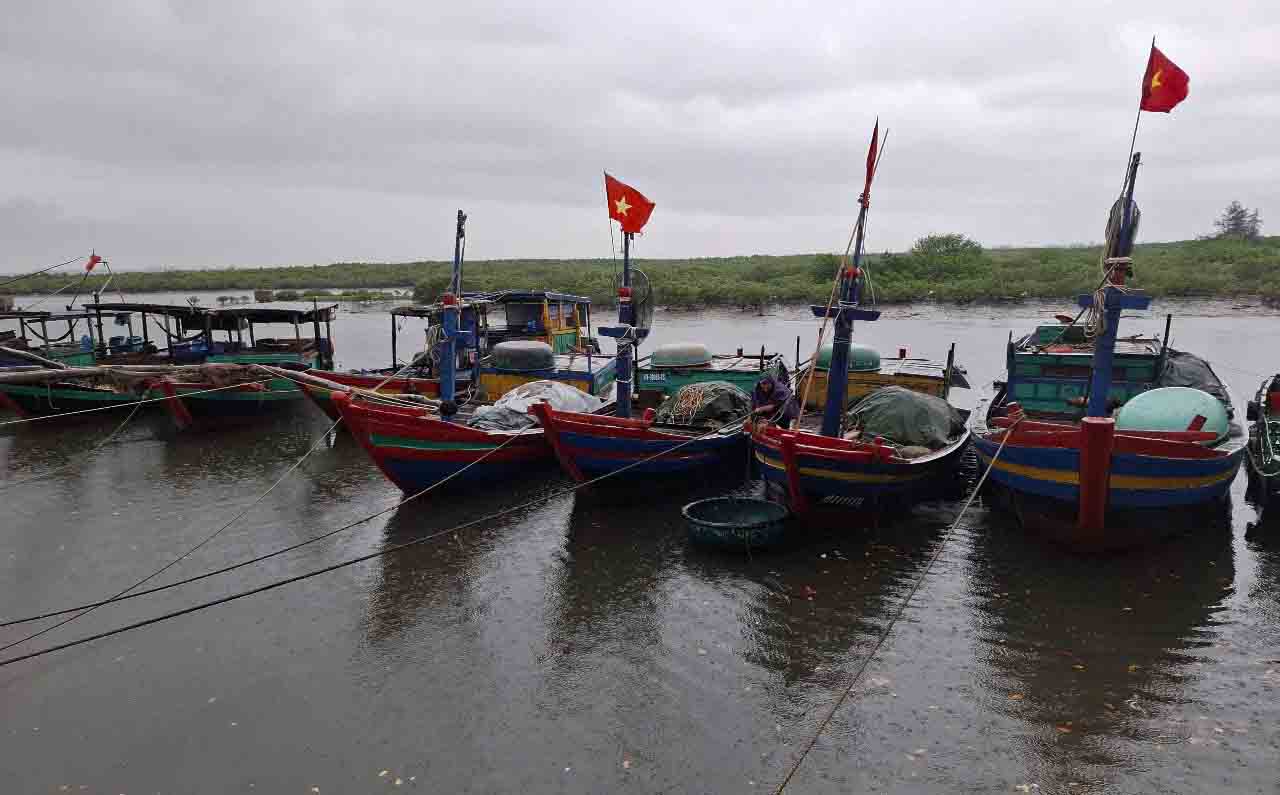 Tau ca nho nen san luong danh bat gia tri khong cao. Anh: Tran Tuan.