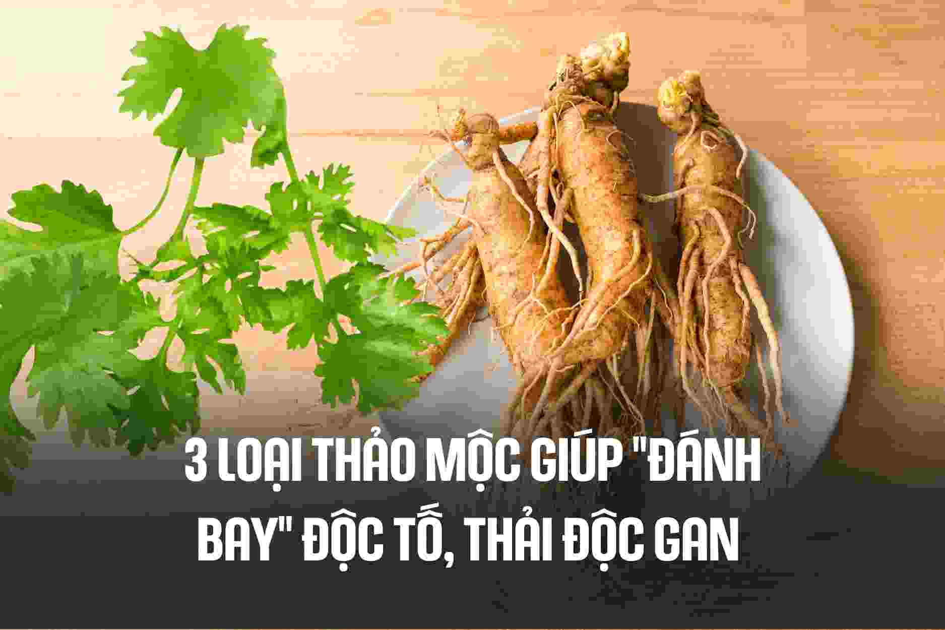 3 types of herbs that help "flight" toxins, detoxify the liver