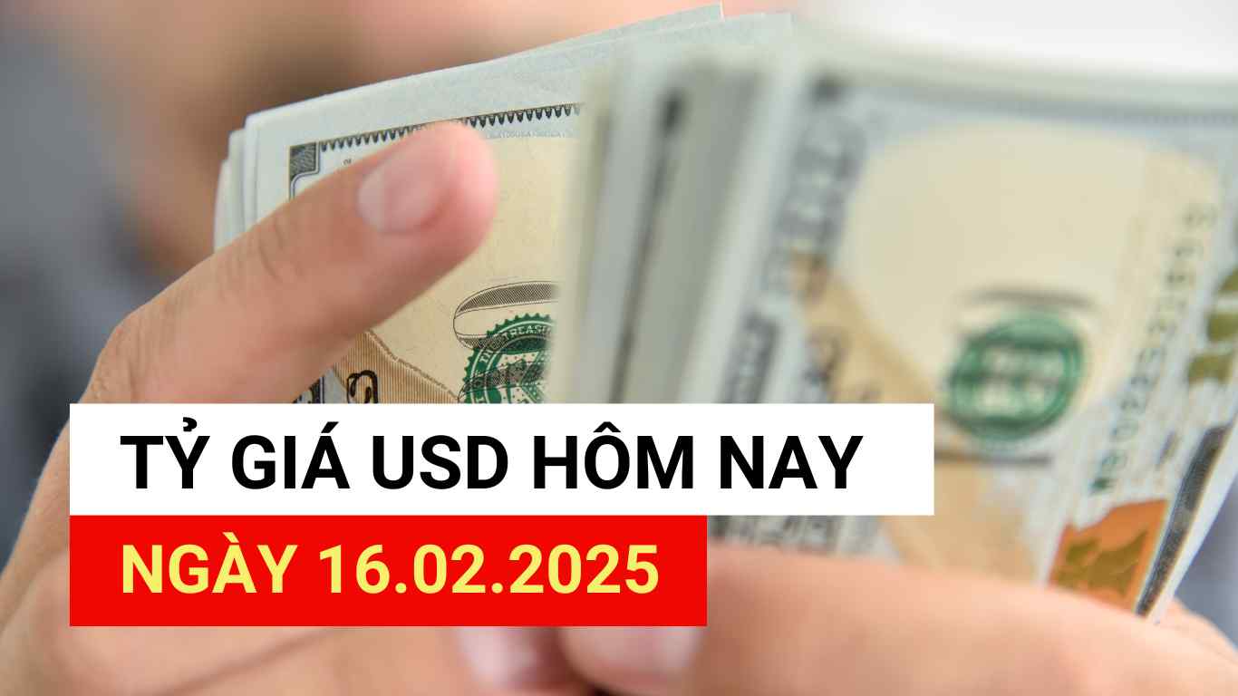 USD exchange rate today, February 16, 2025.