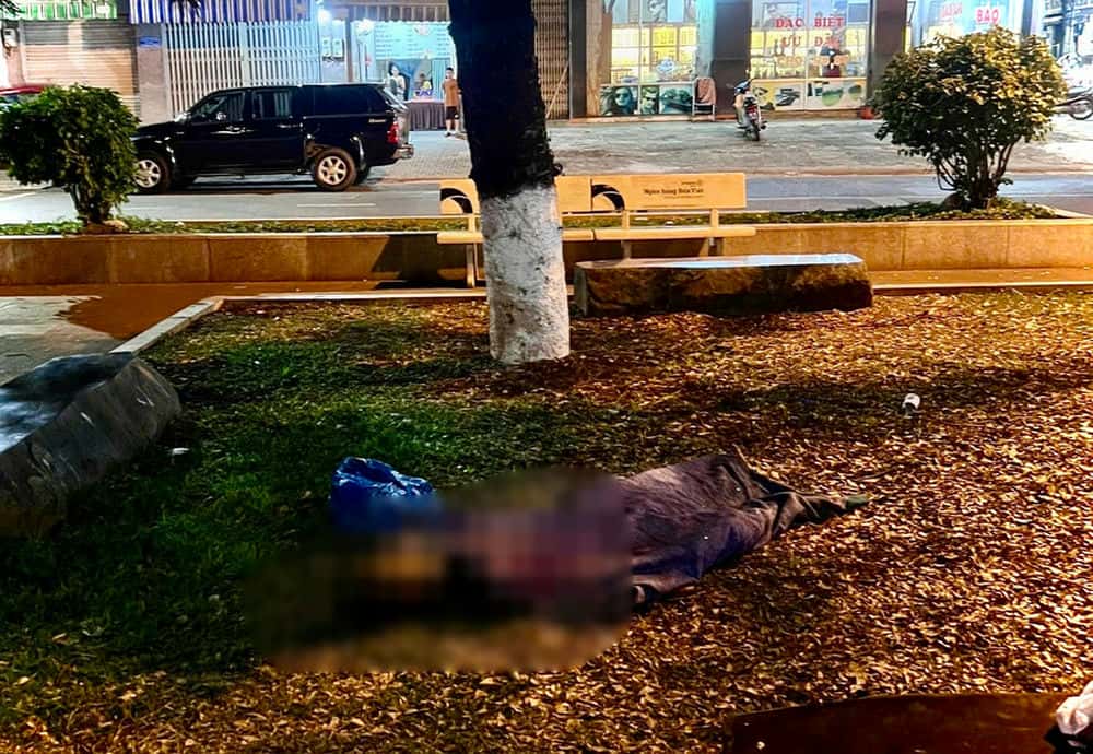 The park area where the victim's body was discovered. Photo: Provided by the people