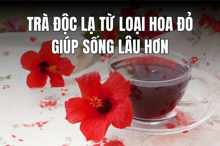 Unique tea from red flowers grown in whole gardens helps live longer