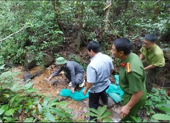 Gia Lai provincial authorities release wild animals back into the wild. Photo: Thanh Tuan