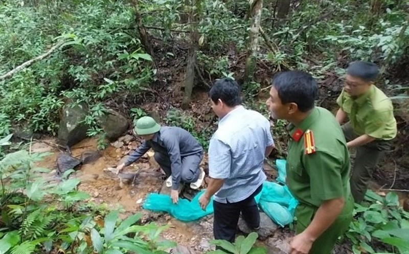 Gia Lai provincial authorities release wild animals back into the wild. Photo: Thanh Tuan