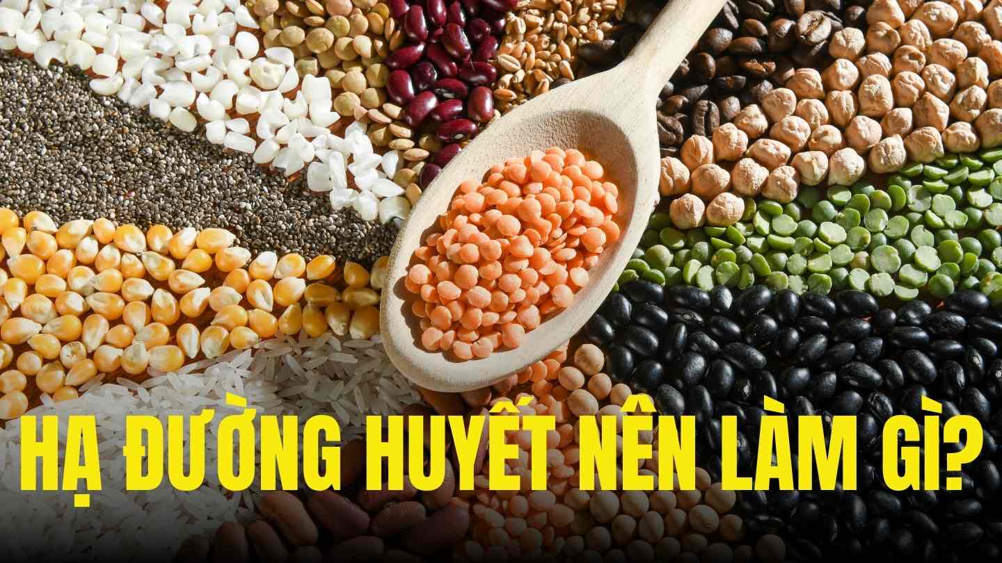 Some of the best foods to control blood sugar are foods containing complex carbohydrates and fiber. Graphics: Tra My