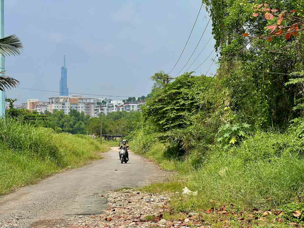 Con đường mòn bên trong khu lâm viên sinh thái dẫn ra bờ sông Sài Gòn. Ảnh: Anh Tú