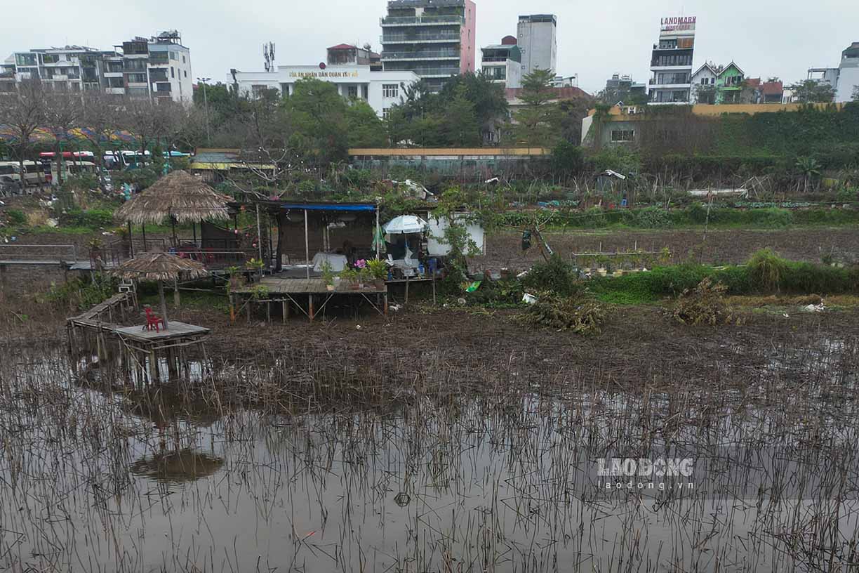 Truoc do, ngay 4.2.2025, tai Tru so UBND Thanh pho, Chu tich UBND TP Ha Noi Tran Sy Thanh da chu tri buoi hop nghe bao cao ve phuong an bo cap nuoc vao song To Lich nham cai thien moi truong. Trong do, yeu cau UBND quan Tay Ho quan ly ho Sen de thuc hien viec cai tao, nao vet lam ho lang trung gian va dau tu he thong duong cong bo cap nuoc cho ho Tay khi can thiet, tao canh quan moi truong va khong anh huong den he sinh thai cua ho Tay.