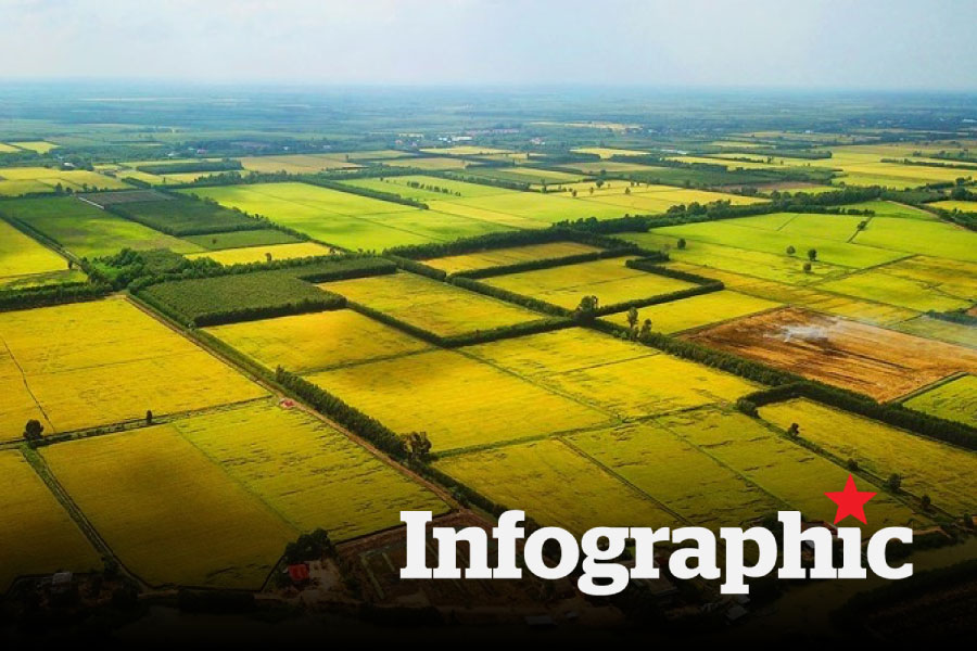 Bảng giá đất nông nghiệp trồng lúa nước, trồng cây hàng năm Hà Nội 2025
