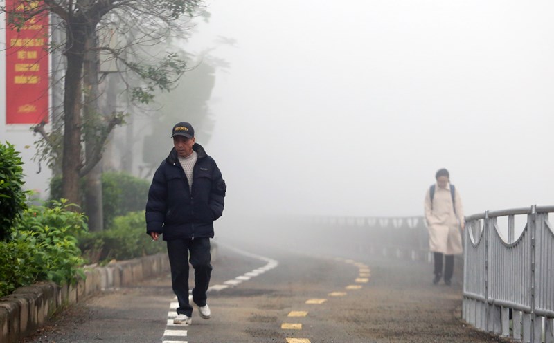 Forecast of prolonged muddy weather in February. Photo: To The