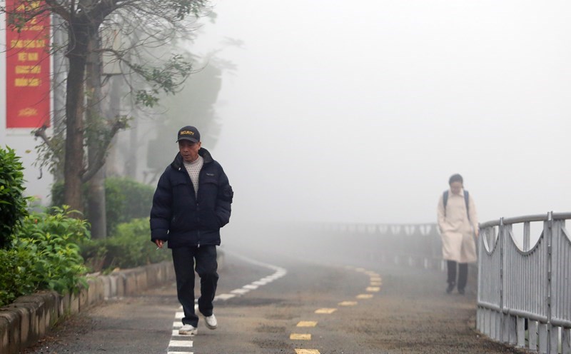 Forecast of prolonged muddy weather in February. Photo: To The