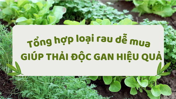 A collection of easy-to-buy vegetables that help detoxify the liver effectively