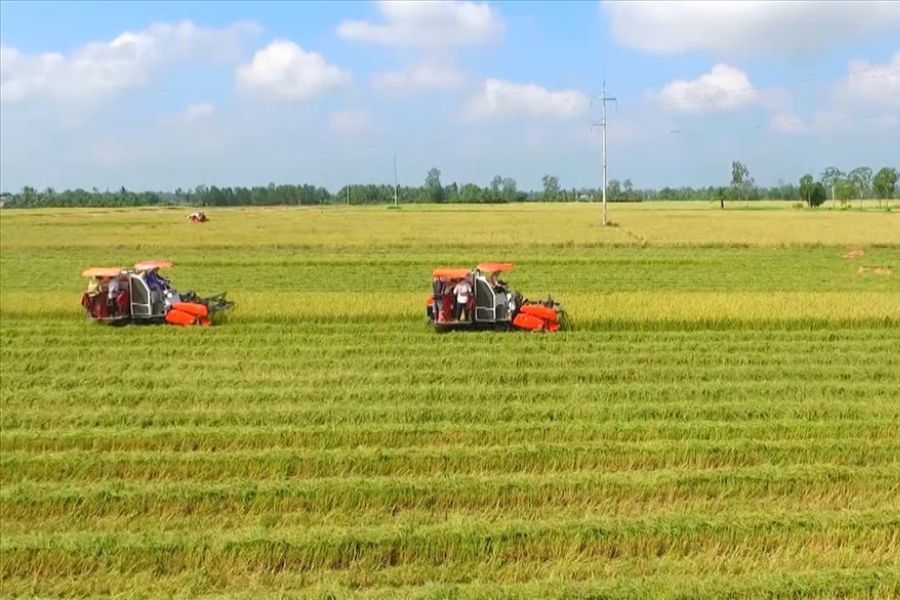 Understanding the regulations on conditions for converting agricultural land use rights in 2025 helps people avoid legal problems. Photo: Tran Luu