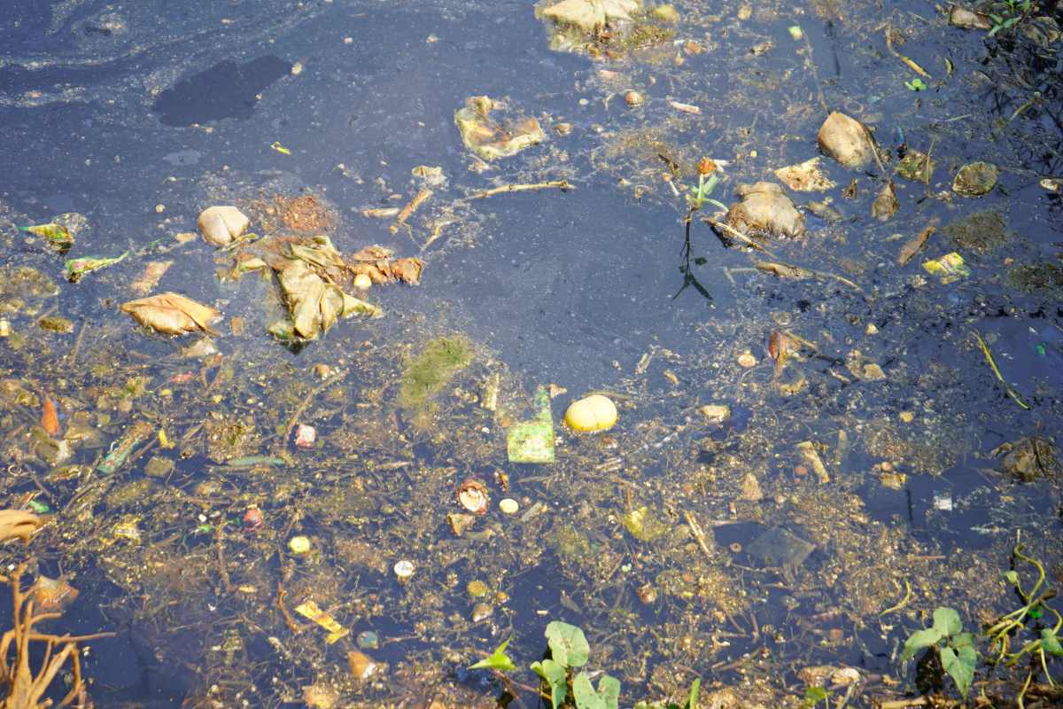 Untreated domestic wastewater has led to water pollution in Hoa Binh canal (Kien Thuy, Hai Phong). Photo: Bang Tam