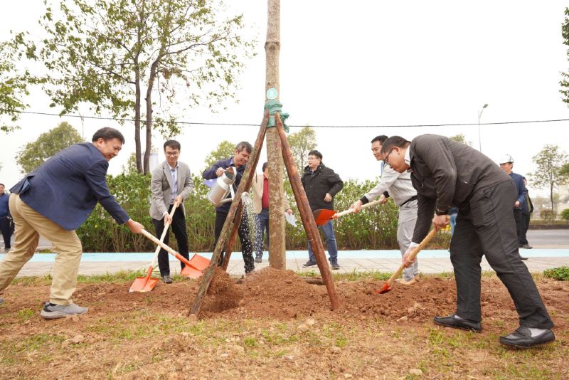 It is expected that there will be about 7,000 trees and the total green area in Nam An Khanh Urban Area will reach 11 hectares. Photo: P.V