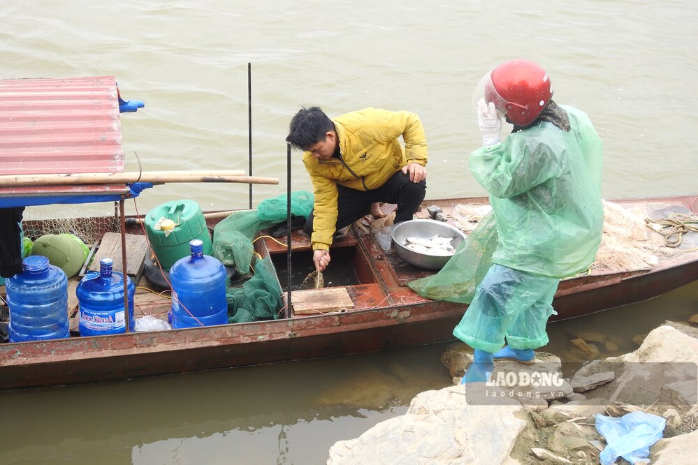 Anh Quyet ban ca cho thuong lai ngay tai bo. Anh: To Cong.