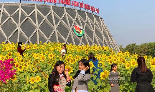 Du khách chen chân check-in hoa hướng dương ở Bảo tàng Chiến thắng lịch sử Điện Biên Phủ. Ảnh: Quang Đạt.