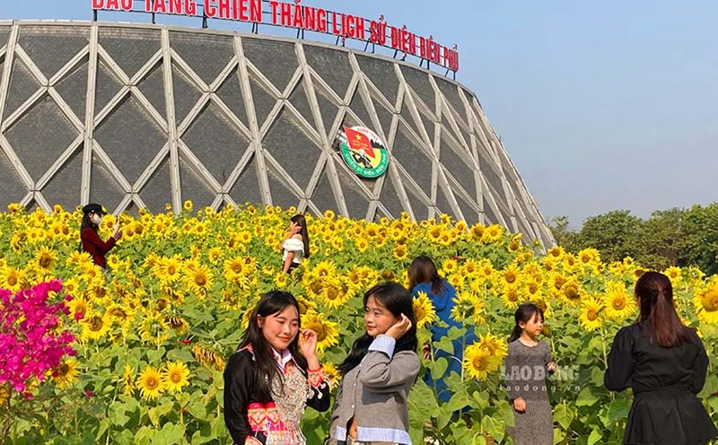Tourists jostle to check-in sunflowers at the Dien Bien Phu Historical Victory Museum. Photo: Quang Dat.