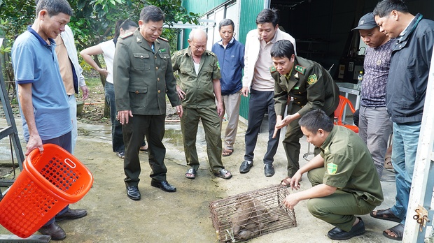 The monkey was arrested. Photo: A. Vu