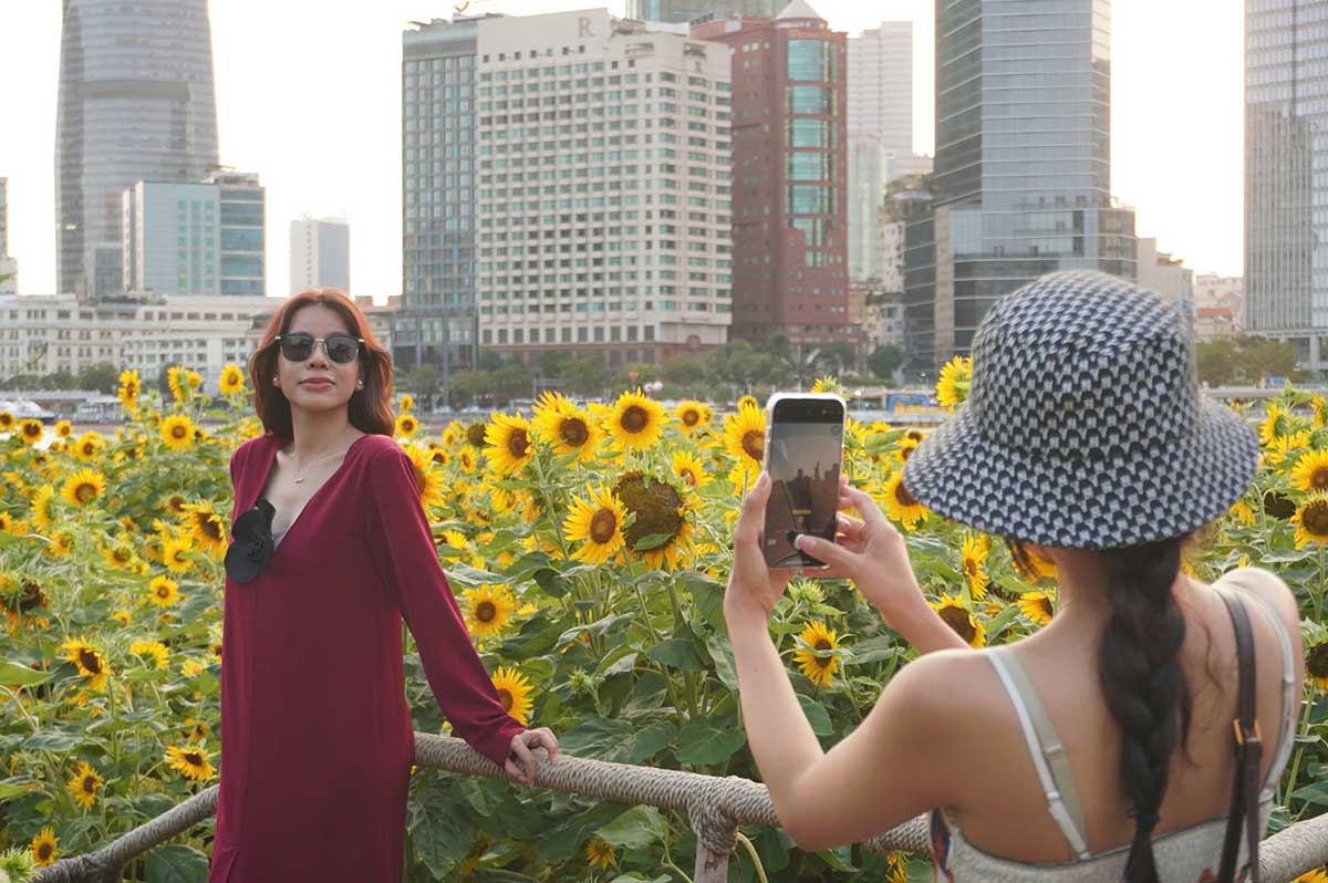 Traveling thousands of kilometers to check-in the "super hot" flower fields of Ho Chi Minh City.