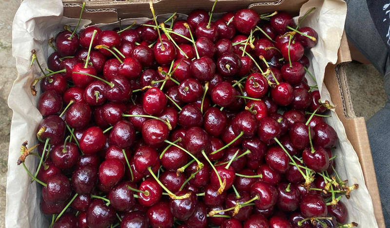 Many places sell imported cherries at cheap prices. Photo: Ha May