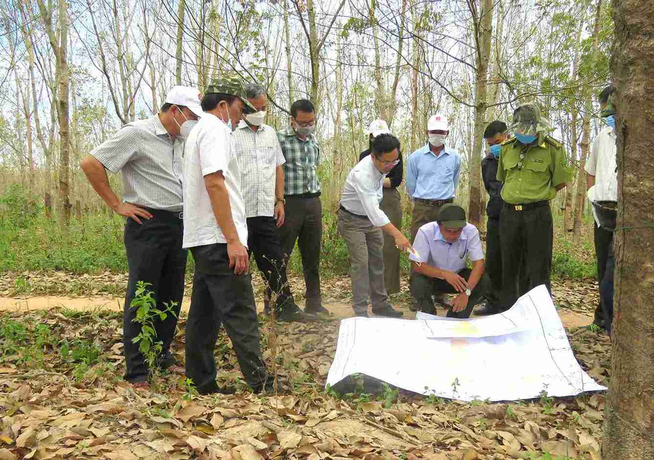 Co quan chuc nang huyen Ea Kar kiem tra hien truong mot vu pha rung o xa Cu Bong. Anh: Quang Vinh