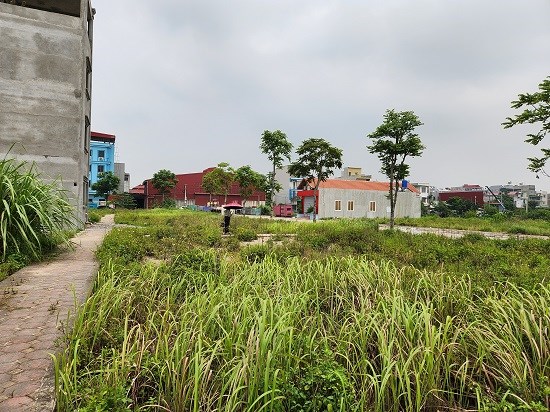 Investors are tending to move to the suburbs to invest in land. Photo: Cao Nguyen