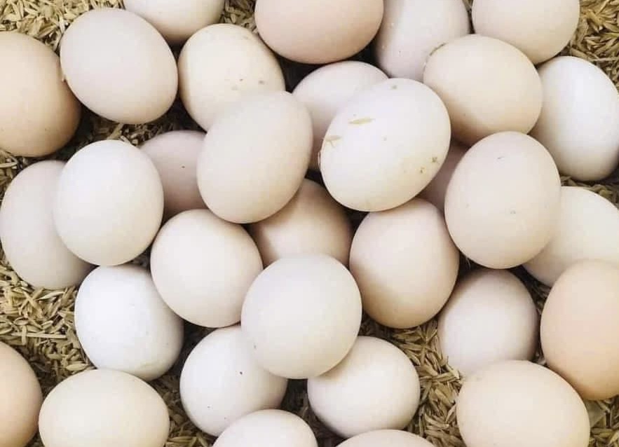 Eating boiled eggs for breakfast to support liver detoxification still requires a lot of research. Photo: Kieu Vu