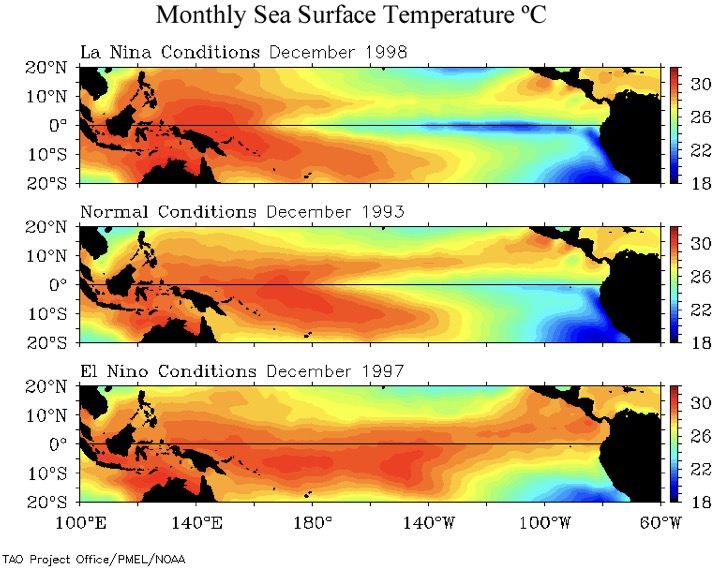 Nhiet do nuoc bien hang thang trong cac nam La Nina. Anh: NOAA