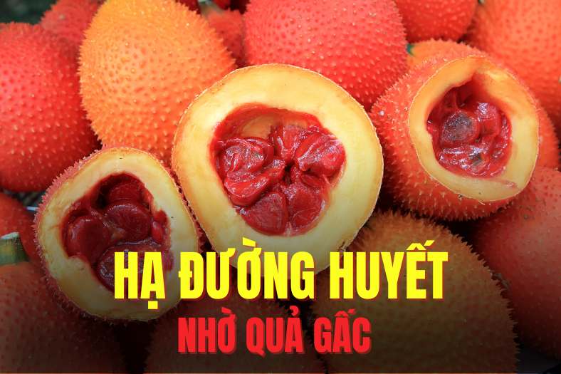 Carotenoids in gourds can improve insulin sensitivity, thereby helping to control blood sugar levels more effectively. Graphics: Tra My