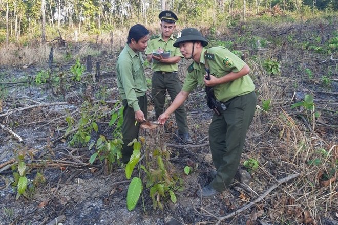 Illustrative photo of many officials at the Department of Agriculture and Rural Development of Khanh Hoa voluntarily streamlining. Source: Huu Long