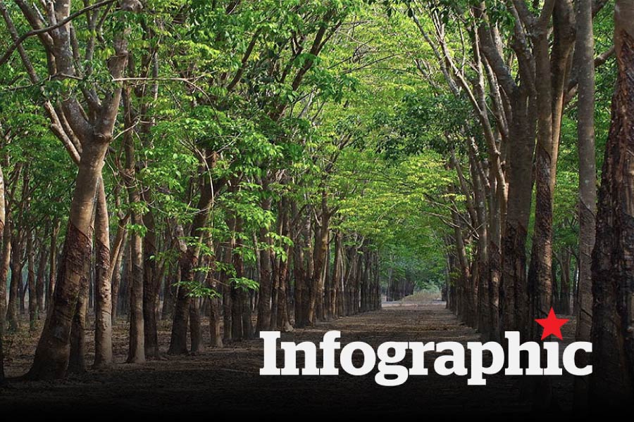 Chi tiết bảng giá đất nông nghiệp trồng cây lâu năm Hà Nội 2025
