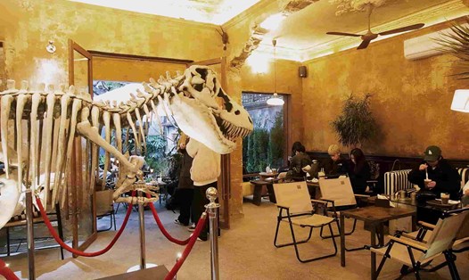 Bên cạnh những vị khách đến quán để nghe nhạc, đọc sách, thư giãn hay trò chuyện cùng bạn bè,... không ít bạn trẻ tìm đến đây để chụp ảnh check-in. Ảnh: Thùy Linh