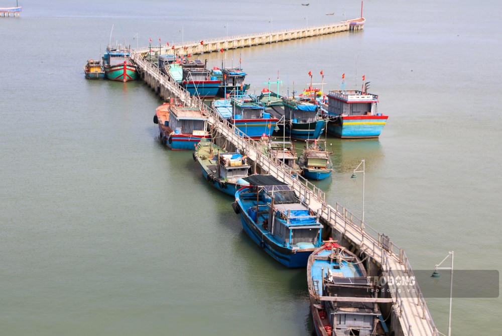  Dai dien Ban Quan ly Cang ca Thuan An ly giai, cong trinh thi cong tren nen dat sinh lay da duoc san lap va do cong trinh van con bao hanh, don vi thi cong se khac phuc nhung hu hong nay.