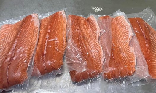 Loại cá này có thể hỗ trợ giảm mỡ gan. Ảnh: Kiều Vũ
