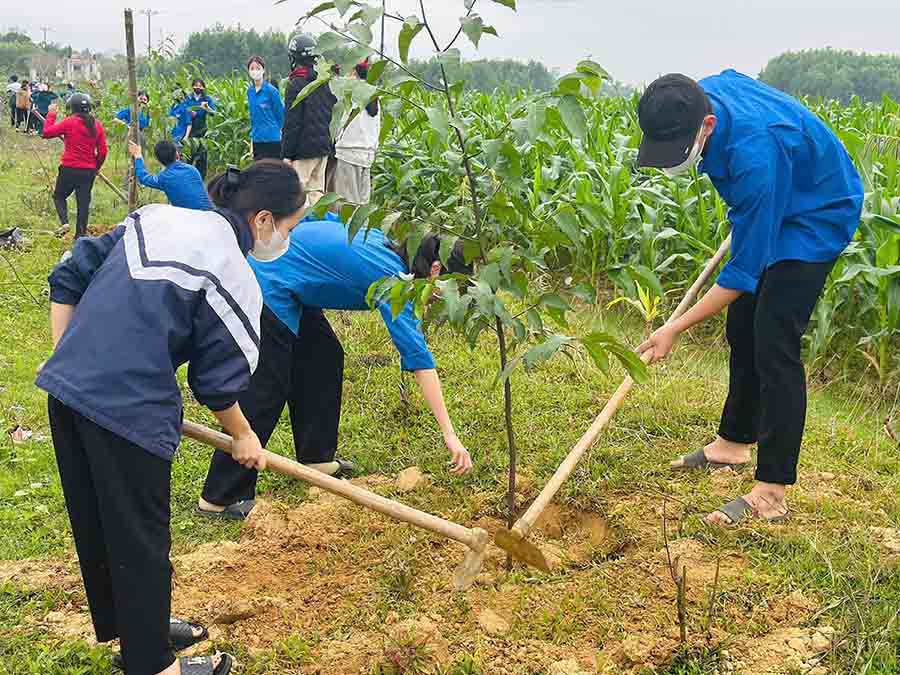 Youth Union members of Ha Linh commune participate in tree planting. Photo: Doan Tuan.