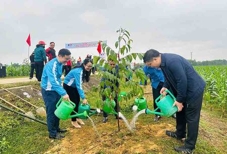 Hang cay duoc trong o xa Ha Linh. Anh: Doan Tuan.