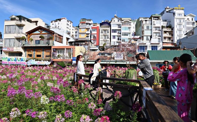 During Tet holidays, a large number of visitors flock to Lam Dong. Photo: Chinh Thanh