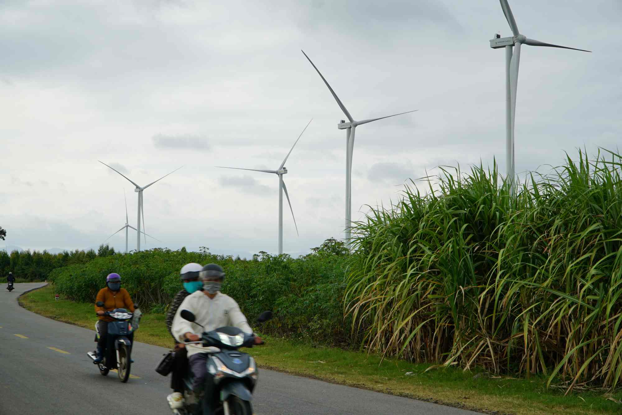 Investors are waiting to be untied in procedures to put the wind power project into operation and operation. Photo: THANH TUAN