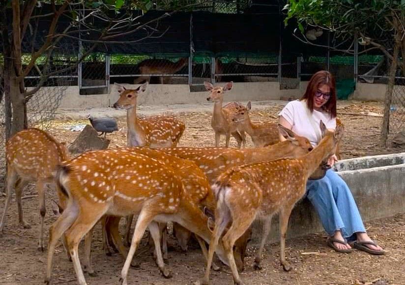 Du khach trai nghiem vuon hoa tam giac mach, vuon nho sach va dan huou o The Moshav farm. Anh: Phuong Linh