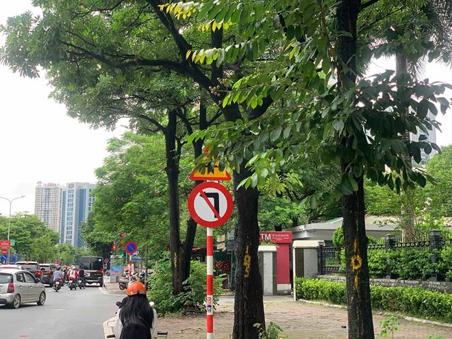 General review and resolution of shortcomings in the system of traffic signs and lights. Illustrative photo: Nhat Minh