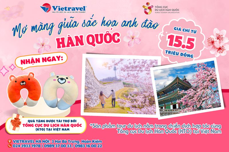 Ben canh do, khi mua tour du lich Han Quoc chiem nguong hoa anh dao, ban con duoc nhan qua tang goi ke co cuc hap dan duoc tai tro boi Tong cuc Du lich Han Quoc (KTO) tai Viet Nam nua day!