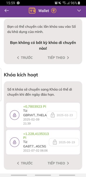 Du so huu hang ngan token Pi, nhung anh V. van phai dung ngoai cac cuoc giao dich. Anh: Nhan vat cung cap