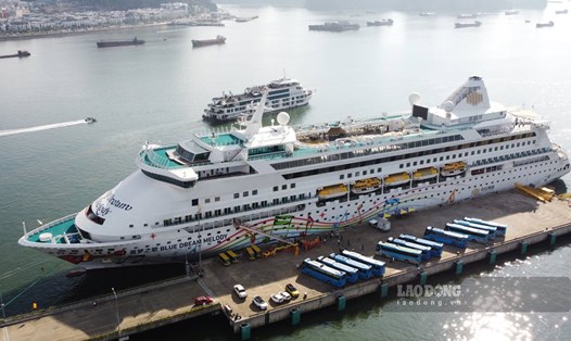 Toàn cảnh tàu biển Blue Dream Melody mang theo gần 1.200 du khách đến Hạ Long ngày 16.11.2024. Ảnh: Đoàn Hưng