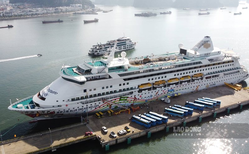 Overview of the Blue Dream Melody cruise ship bringing nearly 1,200 visitors to Ha Long on November 16, 2024. Photo: Doan Hung