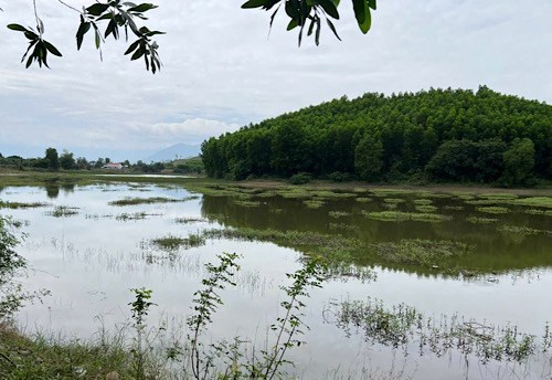 Rủ nhau đi bắt ốc, một phụ nữ ở Đồng Nai tử vong