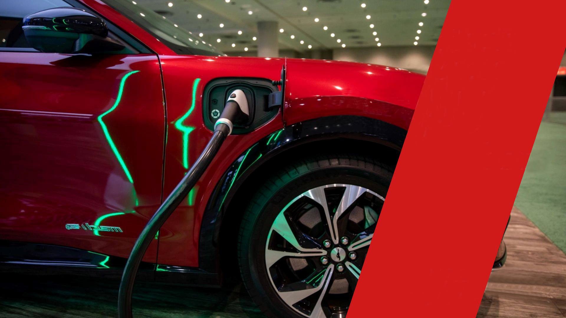 Long-term and consistent policies to support the use of electric vehicles in Norway have played an important role in the country's vehicle conversion process. Photo: Thanh Van