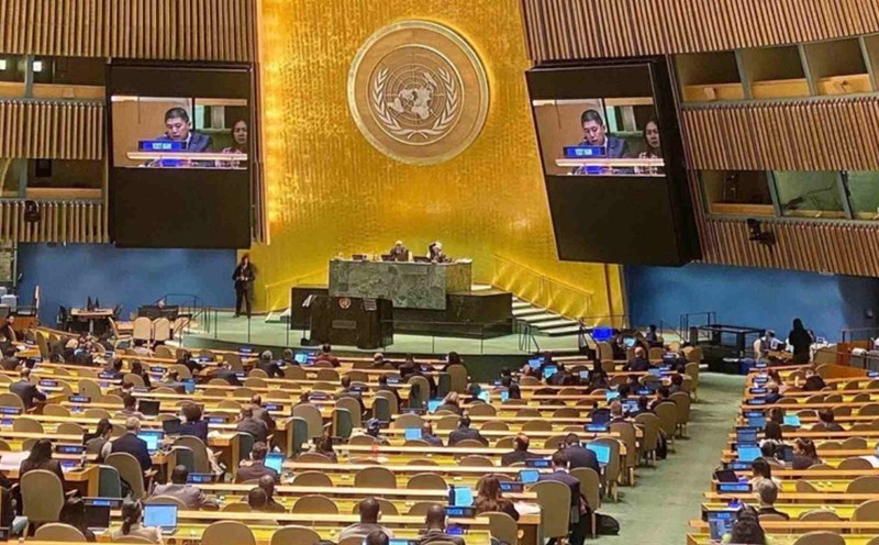 Representative of the Vietnamese Delegation spoke at the event of ratification of the Hanoi Convention. Photo: VNA