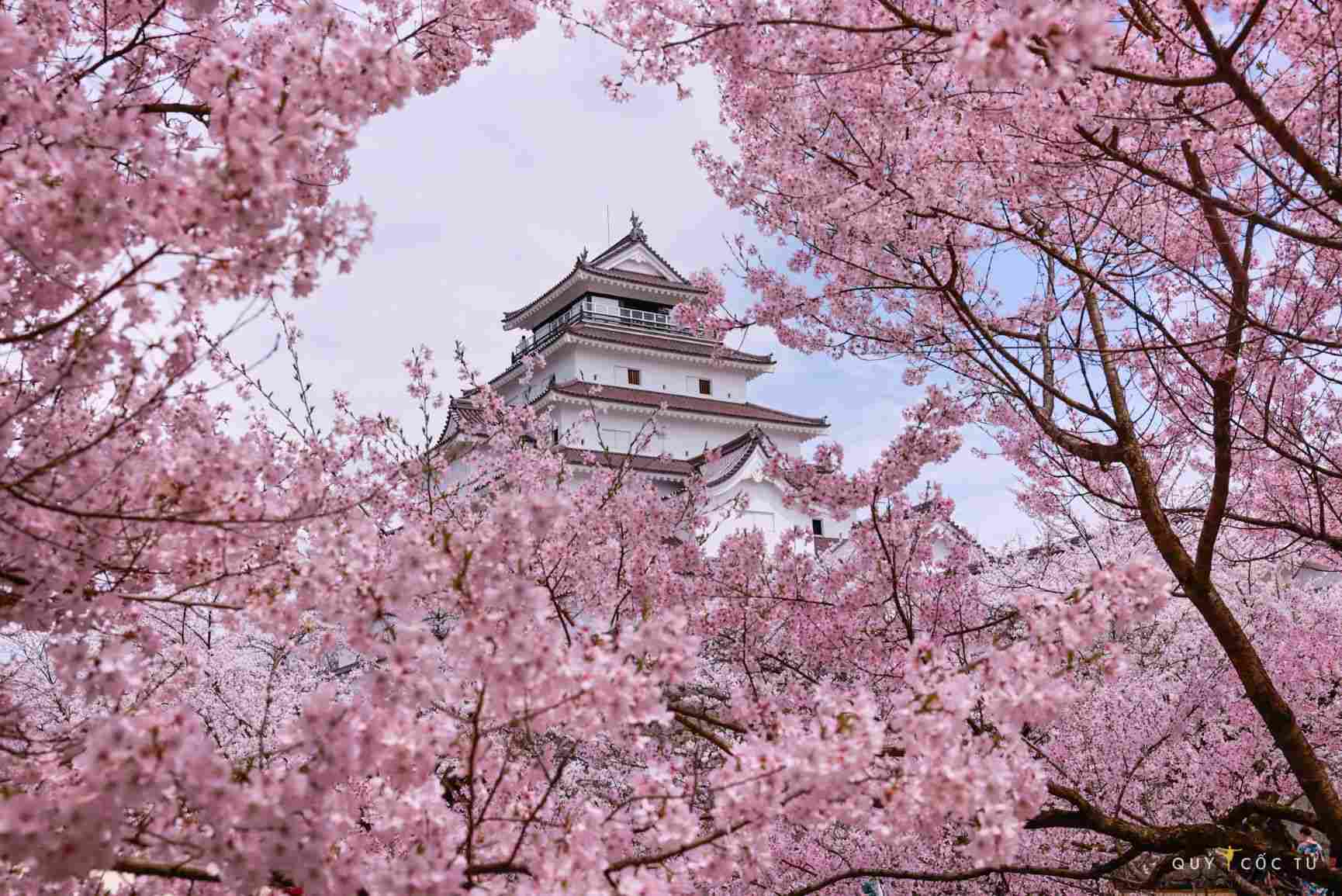 Photo: Ngo Tran Hai An