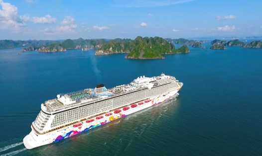 Một siêu du thuyền đến Hạ Long vào năm 2018. Ảnh: Nguyễn Hùng