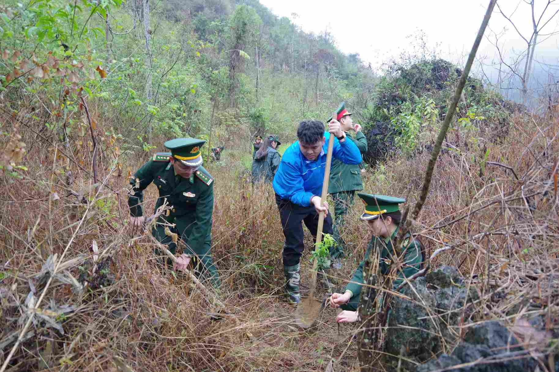 Thuong ta Luong Tuan Long - Pho Chinh uy Bo Chi huy Bo doi Bien phong tinh Cao Bang (bia trai) tham gia trong cay. Anh: Tan Van.